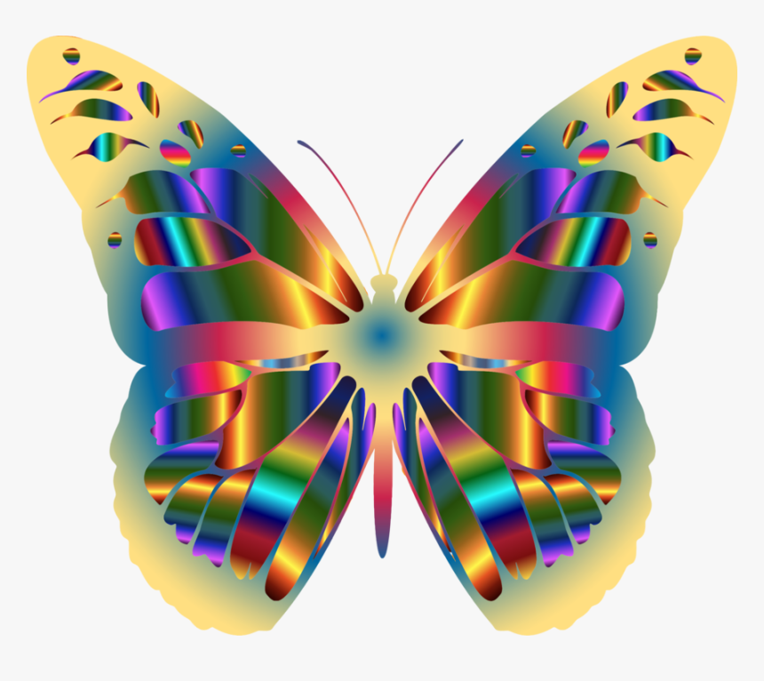 Jpg Royalty Free Library Monarch Butterfly Brush Footed - Colorful Butterfly Wing Clipart, HD Png Download