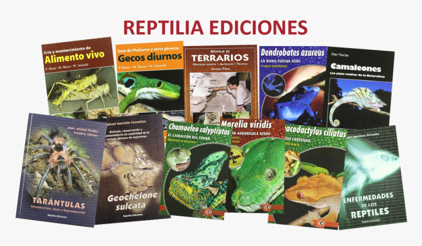 Revistas De Reptiles, HD Png Download