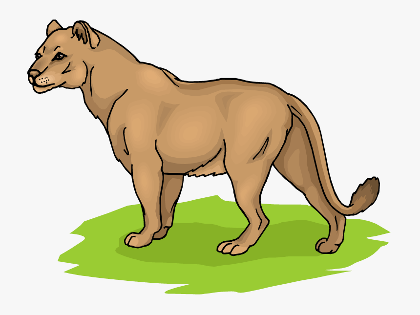Lioness Clipart, HD Png Download
