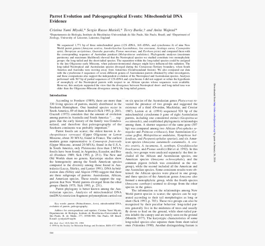 Document, HD Png Download
