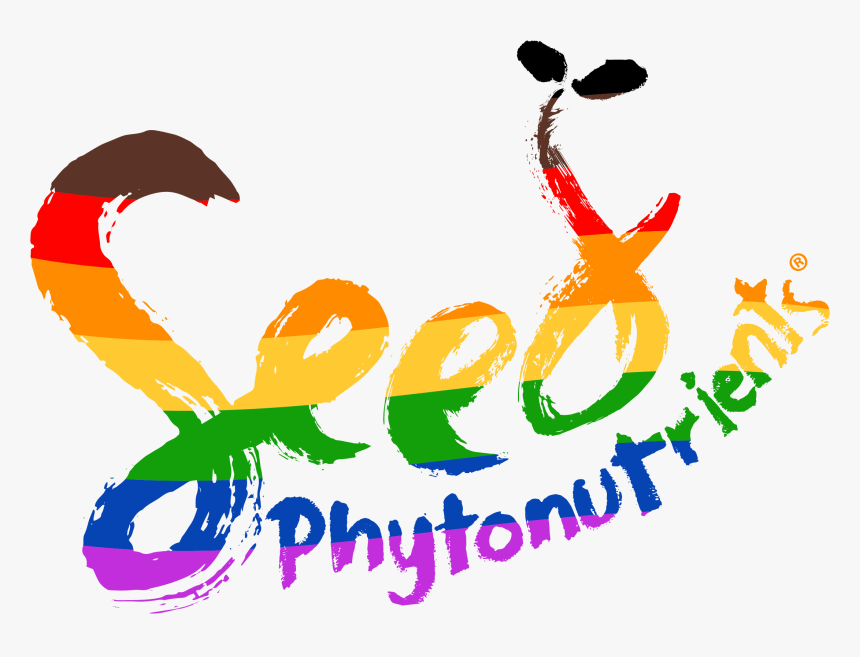 Graphic Design, HD Png Download