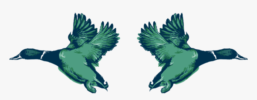 Cftr Posterart Layered-ducks - Golden Eagle, HD Png Download