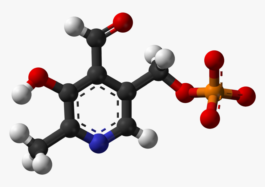 Pyridoxal Phosphate 3d Balls - Ball And Stick Model Of Xylene, HD Png Download