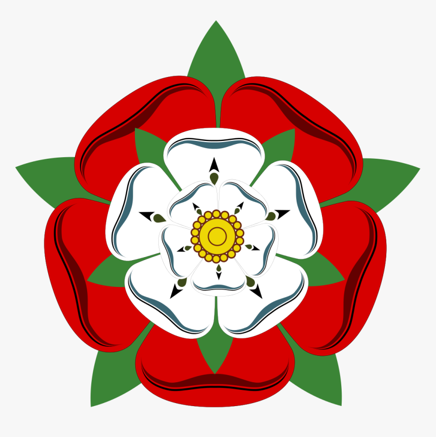 Rose Illustration Png, Transparent Png