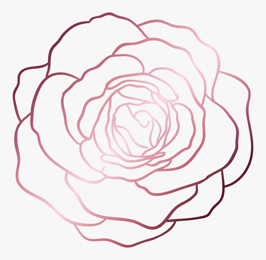Hybrid Tea Rose, HD Png Download