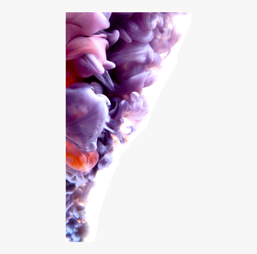 Grape, HD Png Download