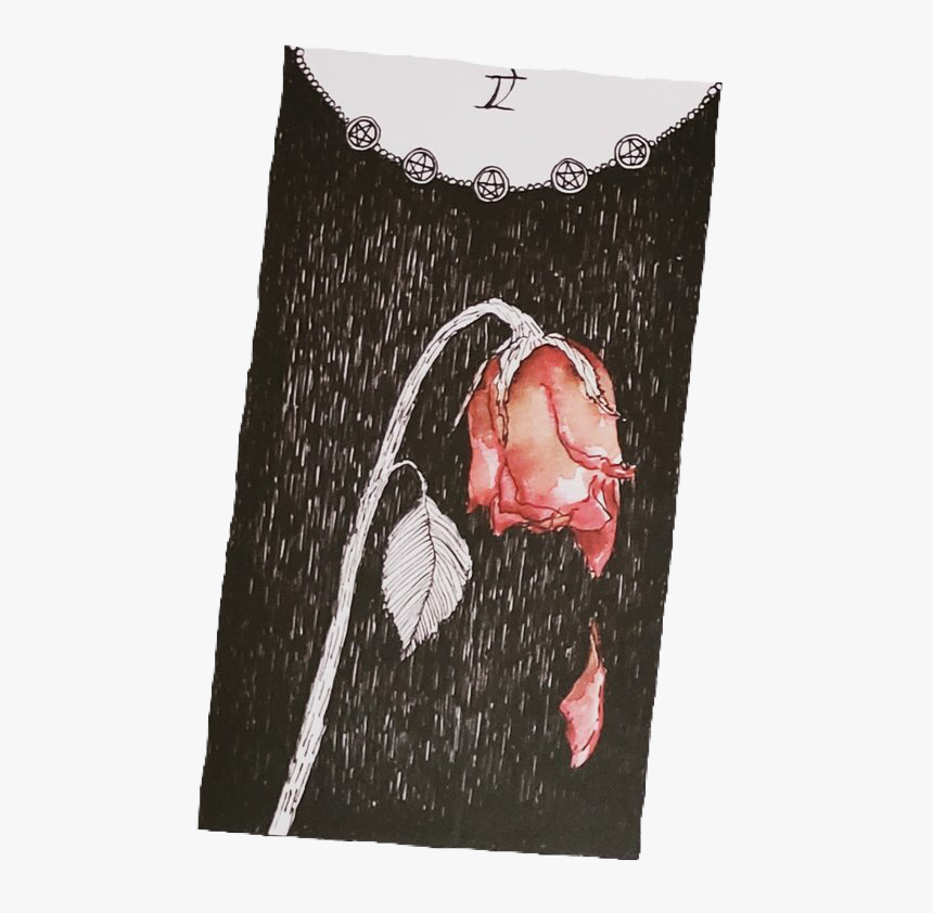 #wiltedrose #rose #tarotcard #pngs #png #lovely Pngs - Tarot Cards Aesthetic Art, Transparent Png