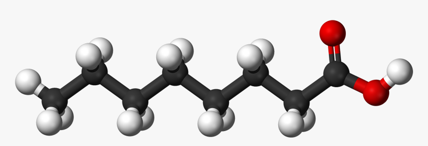 File - Caprylic Ac - Oil Molecule, HD Png Download