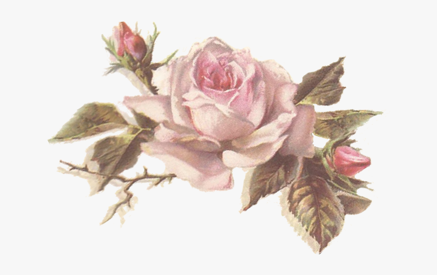 Vintage Flores Rosadas, HD Png Download
