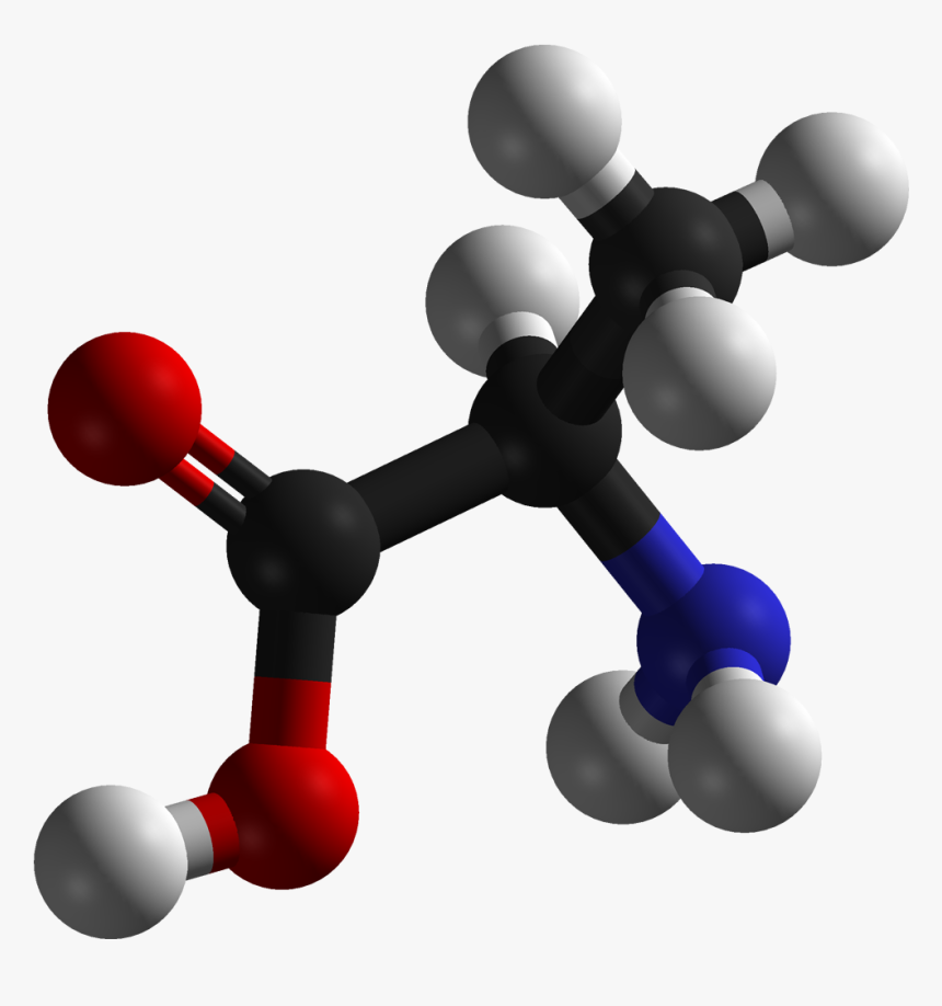 D Alanine, HD Png Download