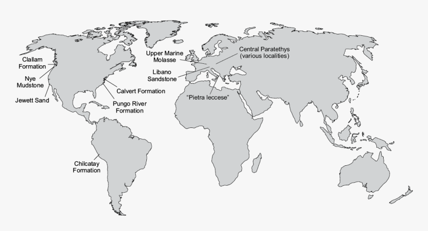 18154 - World Map Free Transparent, HD Png Download