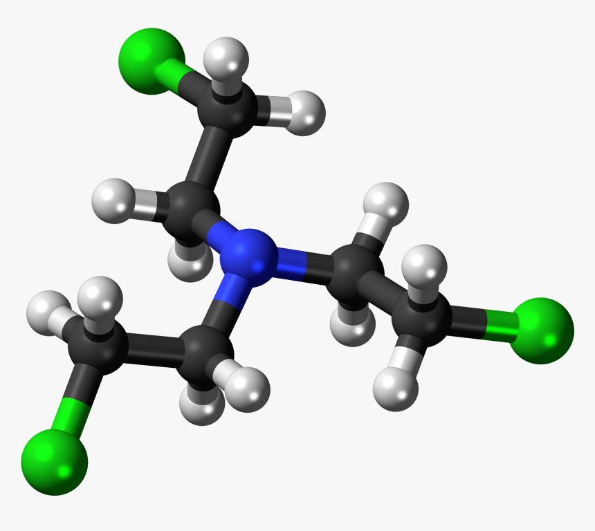 Amine Of 3d, HD Png Download