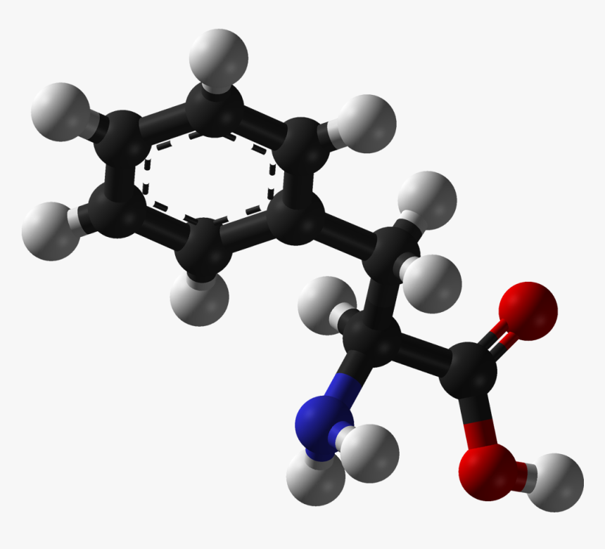 L Phenylalanine 3d Balls - L Phenylalanine Ball And Stick, HD Png Download