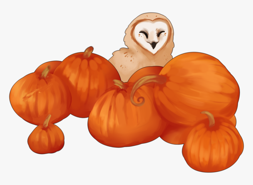 Transparent Pumpking Clipart - Non Copyrighted Harvest Clipart, HD Png Download