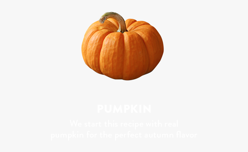 Pumpkin, HD Png Download