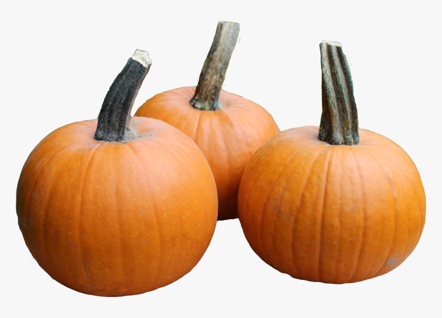 Pumpkin, HD Png Download