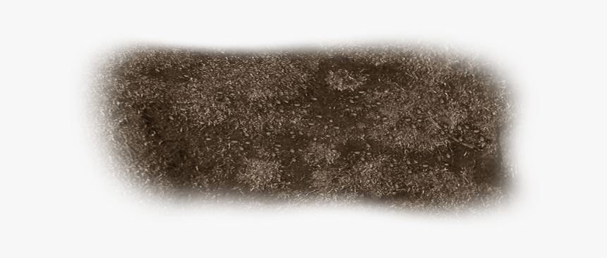 Eye Shadow, HD Png Download