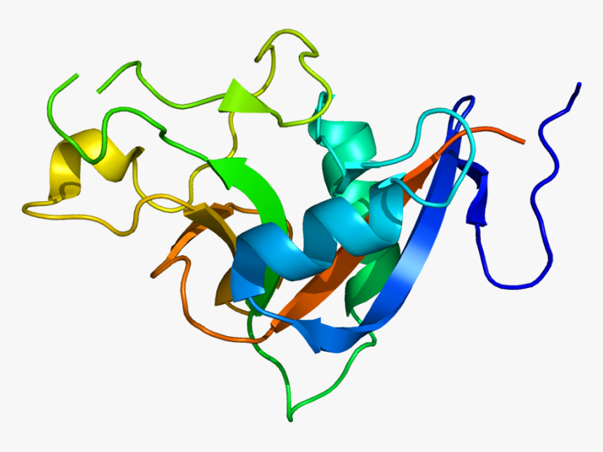 Protein Reg3a Pdb 1uv0, HD Png Download