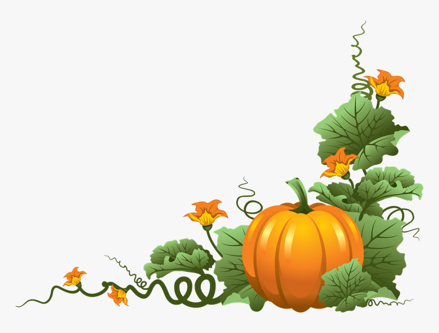 Pumpkin Vine Clipart Png Transparent Png , Png Download - Transparent Fall Pumpkins, Png Download
