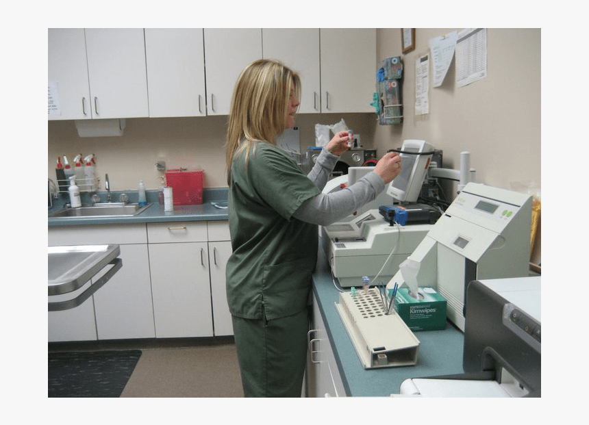 Our Professional Staff Will Keep Your Pet Healthy At - Nurse, HD Png Download