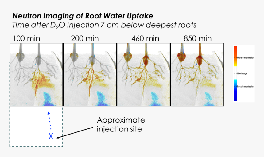 Neutron Imaging - Illustration, HD Png Download