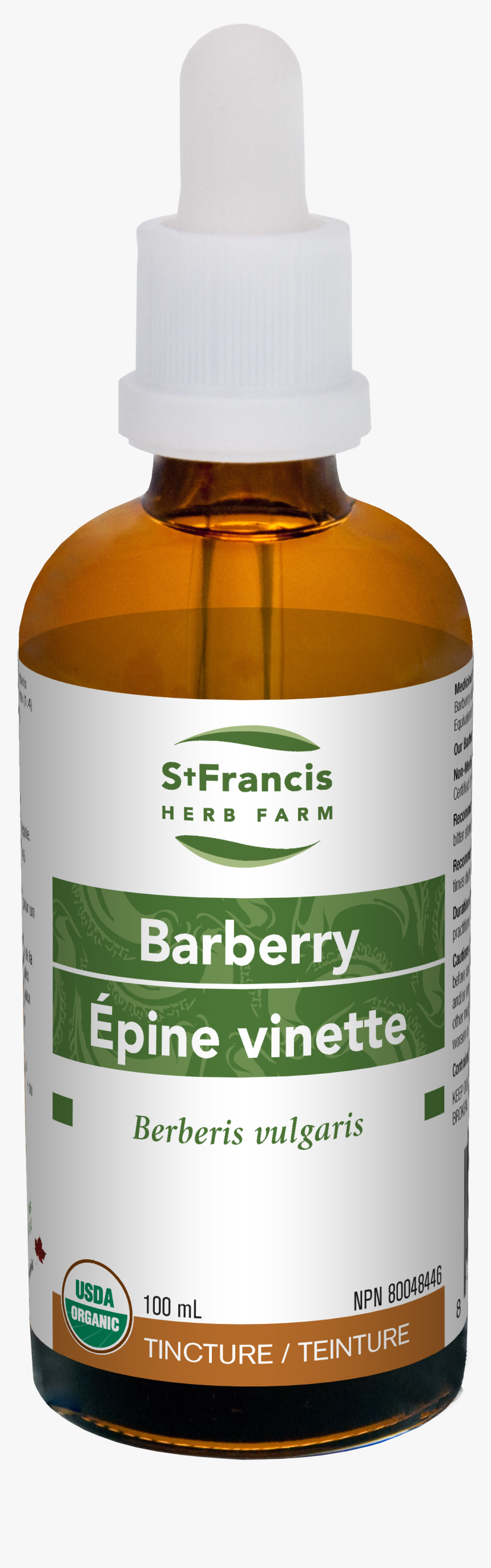 St Francis Passion Flower, HD Png Download