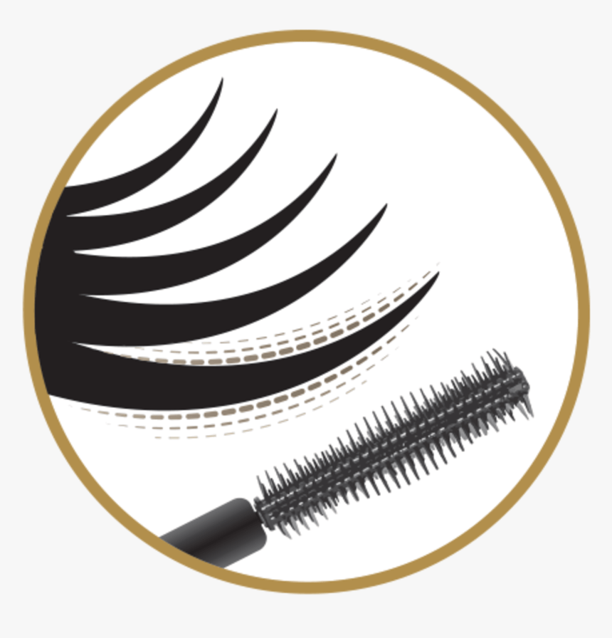 Brush, HD Png Download