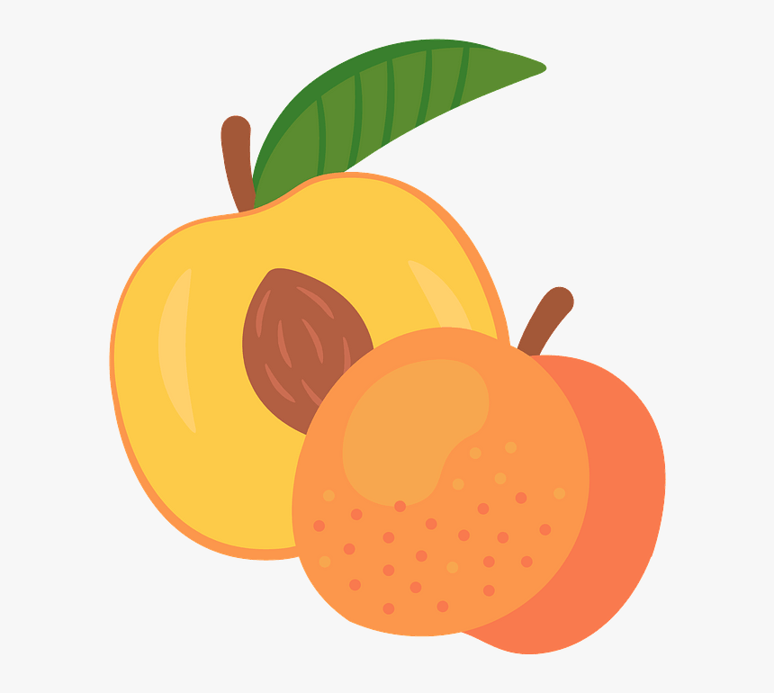 Peach Clipart, HD Png Download
