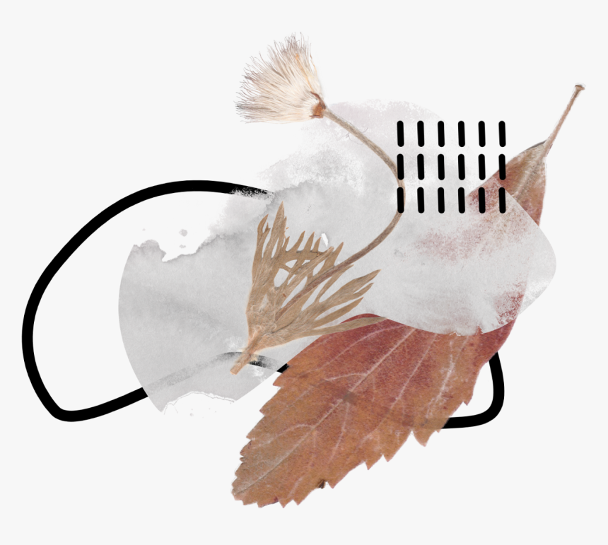 Watercolor Watercolors Flowers Flower Floral Paint - Illustration, HD Png Download