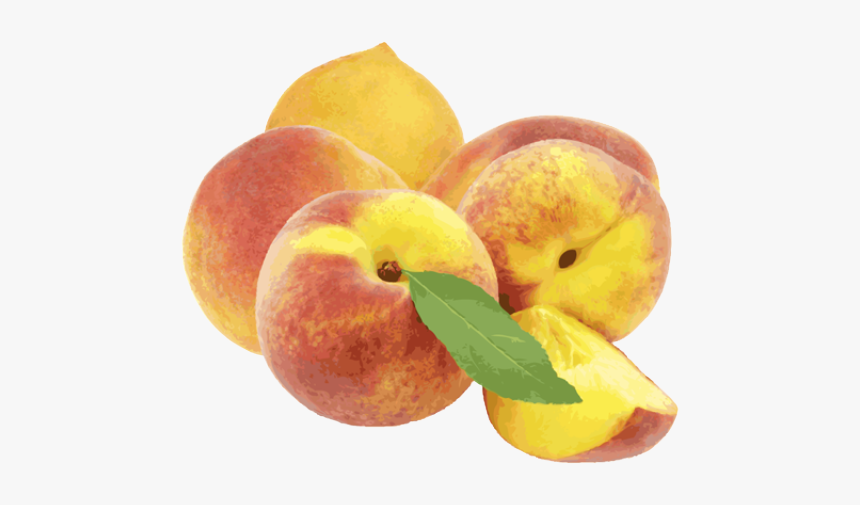 Fruit Et Legume Madrassatii, HD Png Download