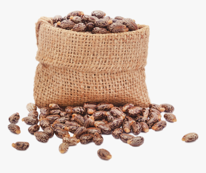 Real Jamaican Black Castor Oil - Castor Oil Seeds Png, Transparent Png