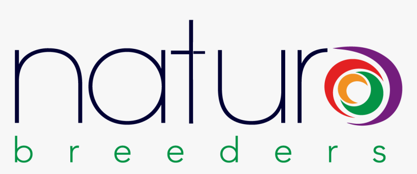 Logo - Circle, HD Png Download