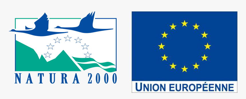 Logo S N2000 - Natura 2000, HD Png Download