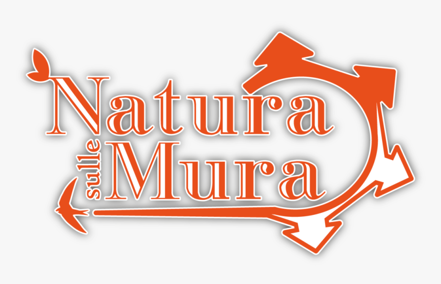 Calligraphy, HD Png Download