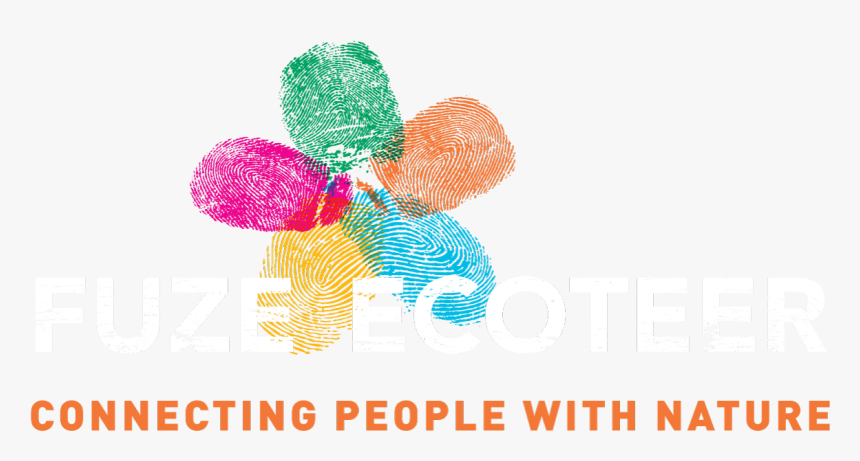 Fuze Ecoteer Logo, HD Png Download