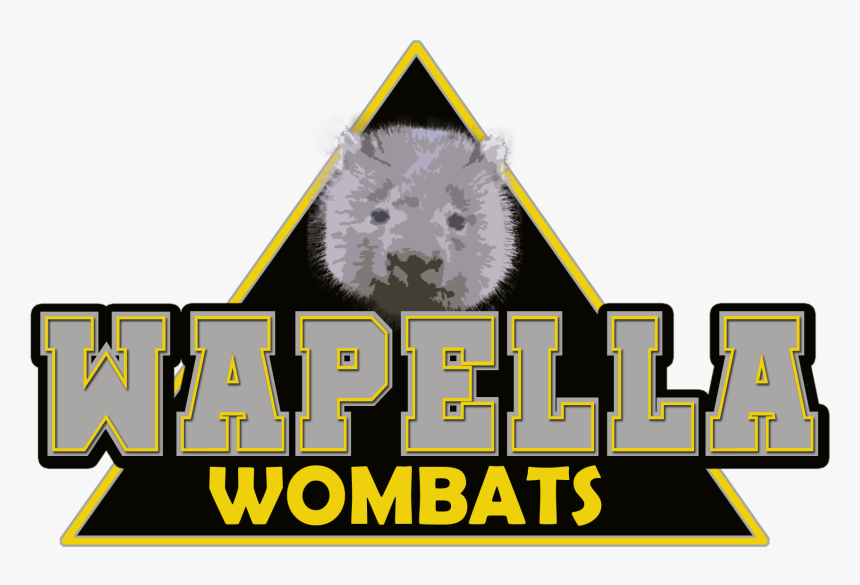 Hamster, HD Png Download