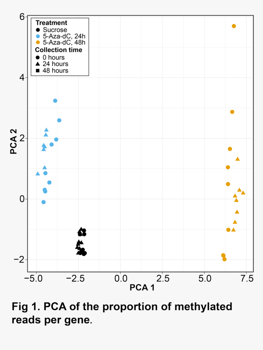 Number, HD Png Download