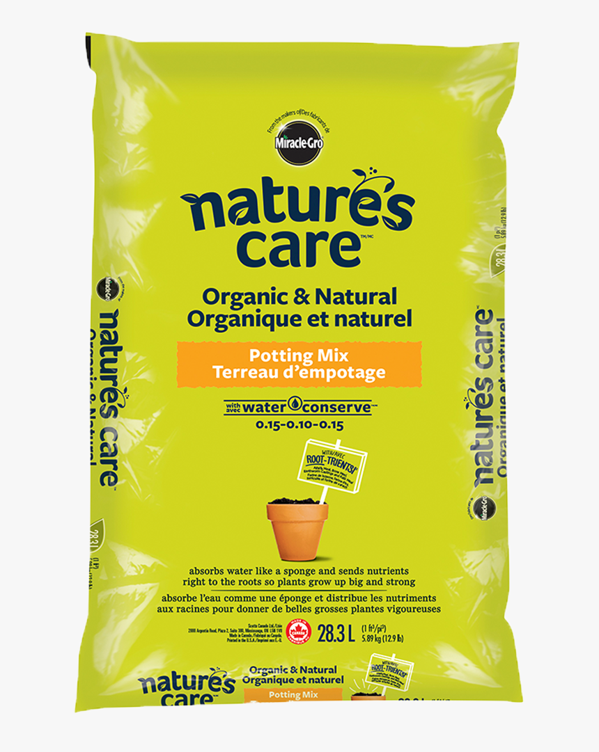 Outdoor Potted Plants Png, Transparent Png