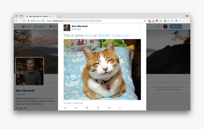 Happy Birthday Funny Animals, HD Png Download