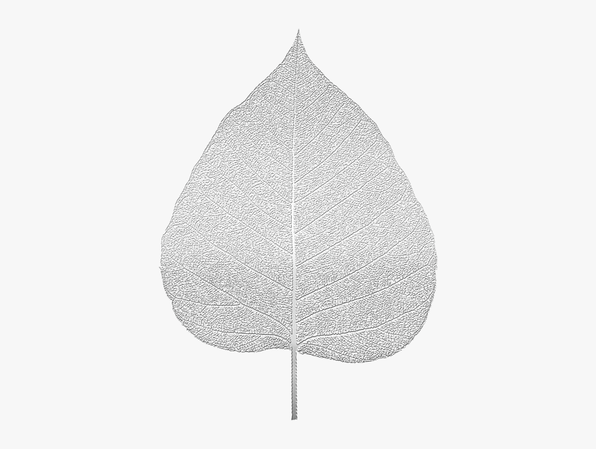 White Silver Leaf Png, Transparent Png