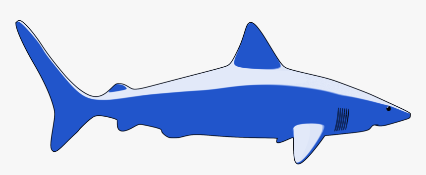 Marine Biology,shark,organism - Sharks, HD Png Download