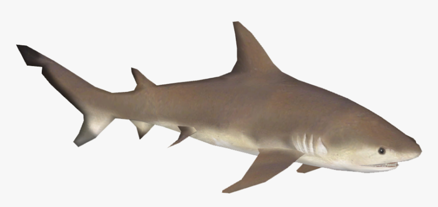 Bull Shark , Png Download - Great White Shark Transparent, Png Download