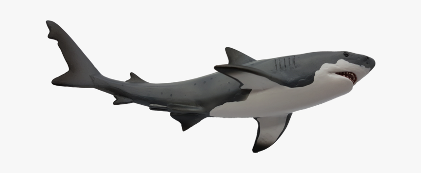 Great White Shark, HD Png Download