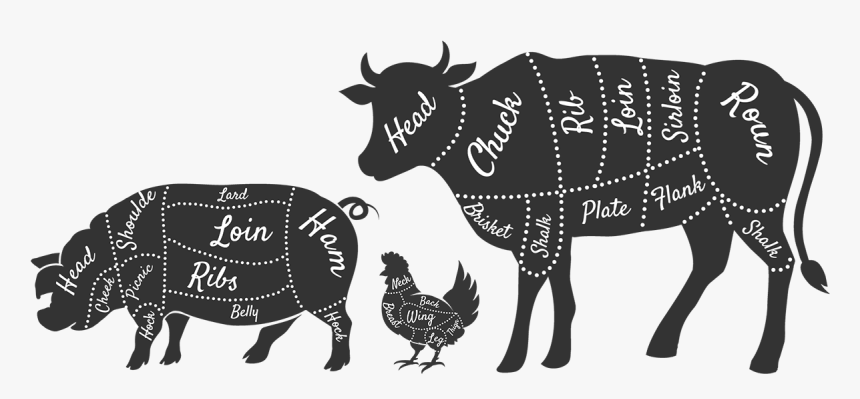 Beef Cuts Clipart, HD Png Download