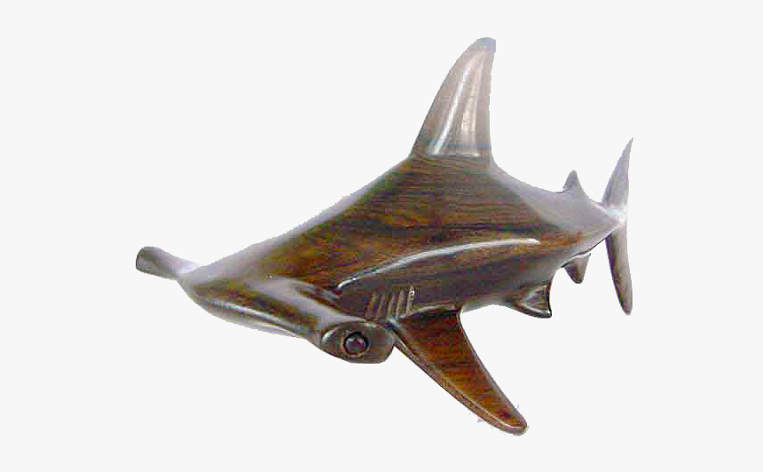 Hammer Shark M - Hammer Shark, HD Png Download
