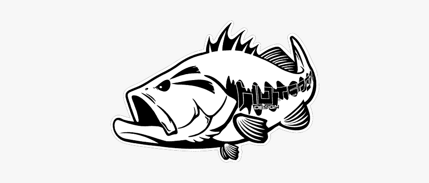 Bass, HD Png Download