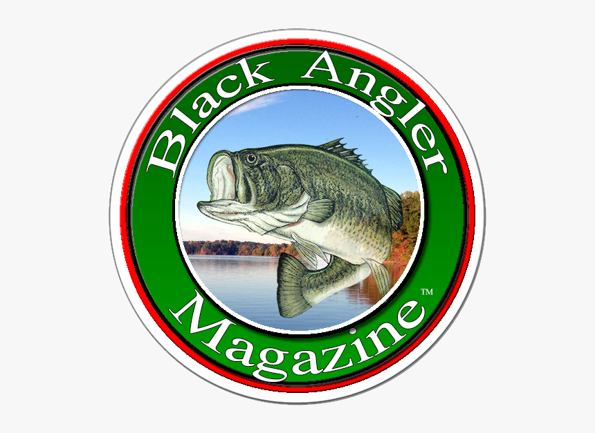 Bass, HD Png Download