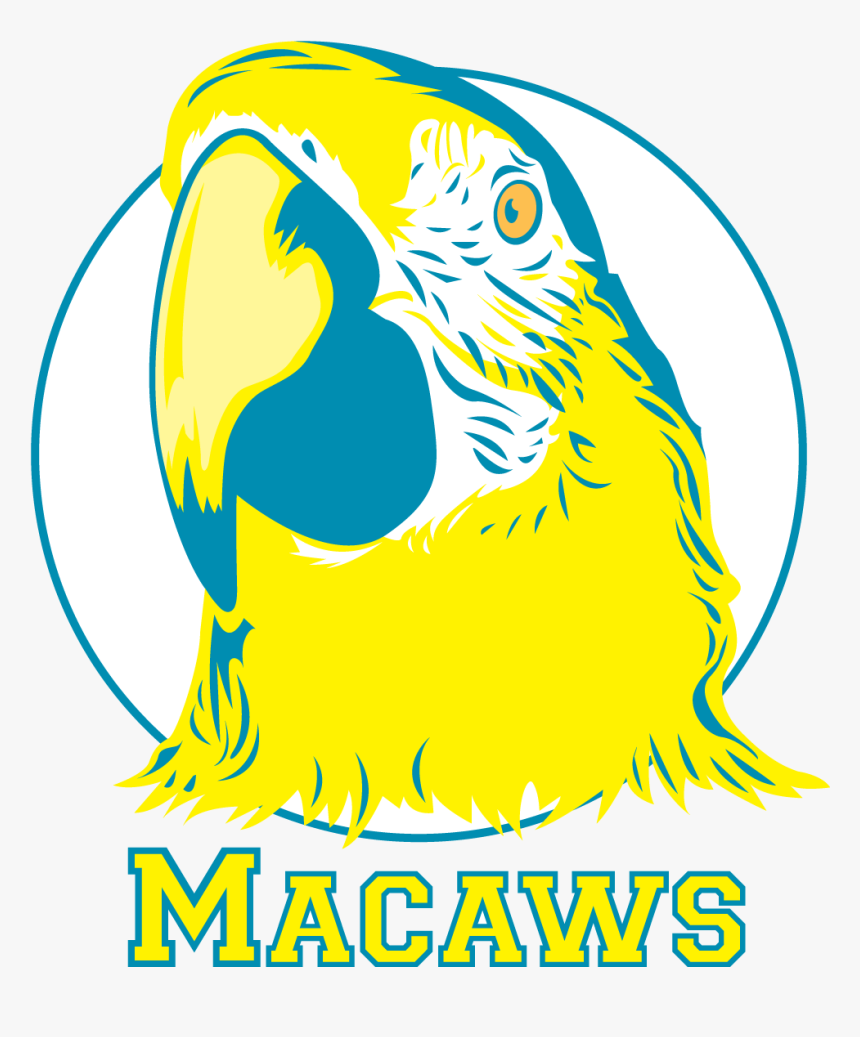 Frank Augustus Miller Middle School Macaw, HD Png Download