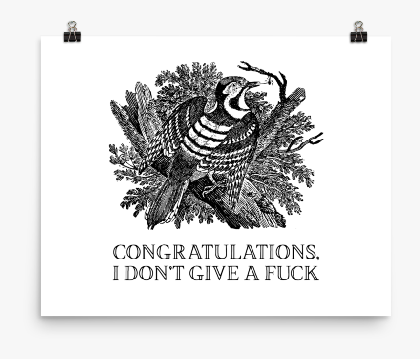 Congratulations, I Don T Give A Fuck Poster 
 Srcset - Thomas Bewick, HD Png Download