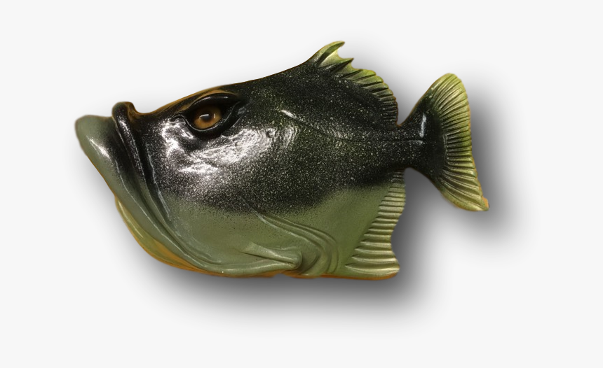 Bass, HD Png Download